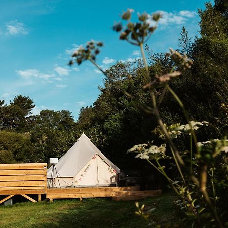 Willow Valley Glamping 뷰드 외부 사진