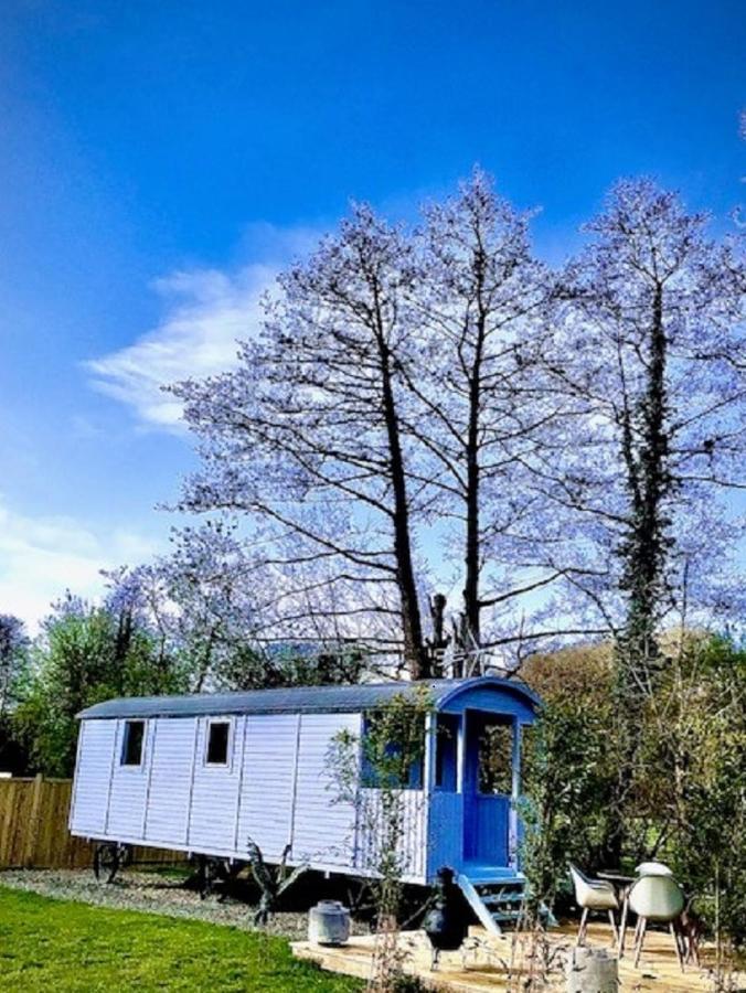 Willow Valley Glamping 뷰드 외부 사진
